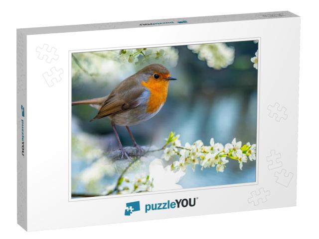 Red Robin Erithacus Rubecula Bird Close Up in the Spring... Jigsaw Puzzle