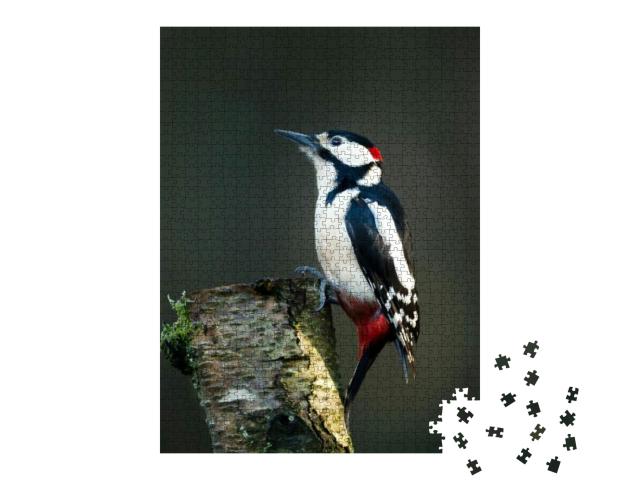 Close Up of a Great Spotted Woodpecker Dendrocopos Major... Jigsaw Puzzle with 1000 pieces