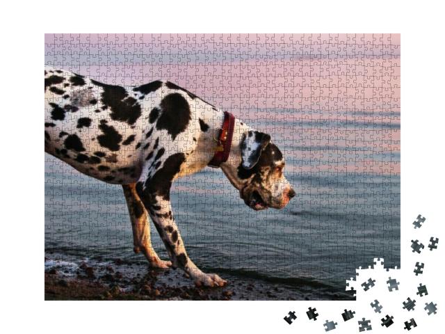 Side View of Interested Adorable Majestic Great Dane Harl... Jigsaw Puzzle with 1000 pieces
