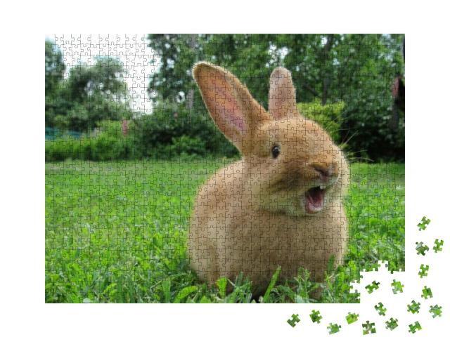 Red Rabbit on Green Grass. Home Decorative Rabbit Outdoor... Jigsaw Puzzle with 1000 pieces