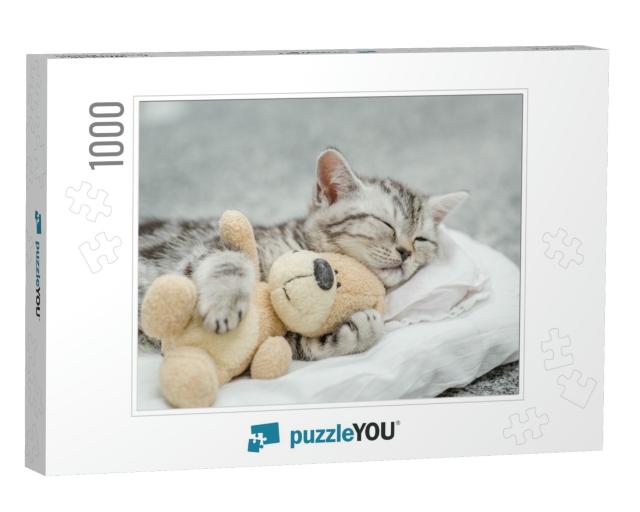 Cute Kitten Sleeping with Toy Bear... Jigsaw Puzzle with 1000 pieces