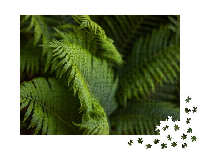Beautiful Fern Leaf Texture in Nature. Natural Ferns Back... Jigsaw Puzzle with 1000 pieces