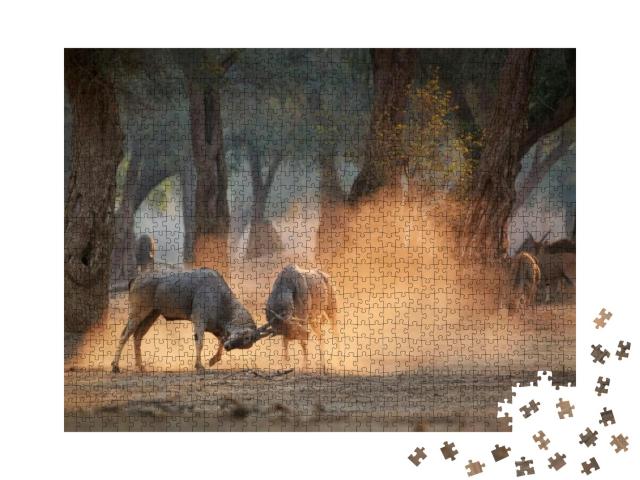 Eland Antelope, Taurotragus Oryx, Two Males Fighting in a... Jigsaw Puzzle with 1000 pieces