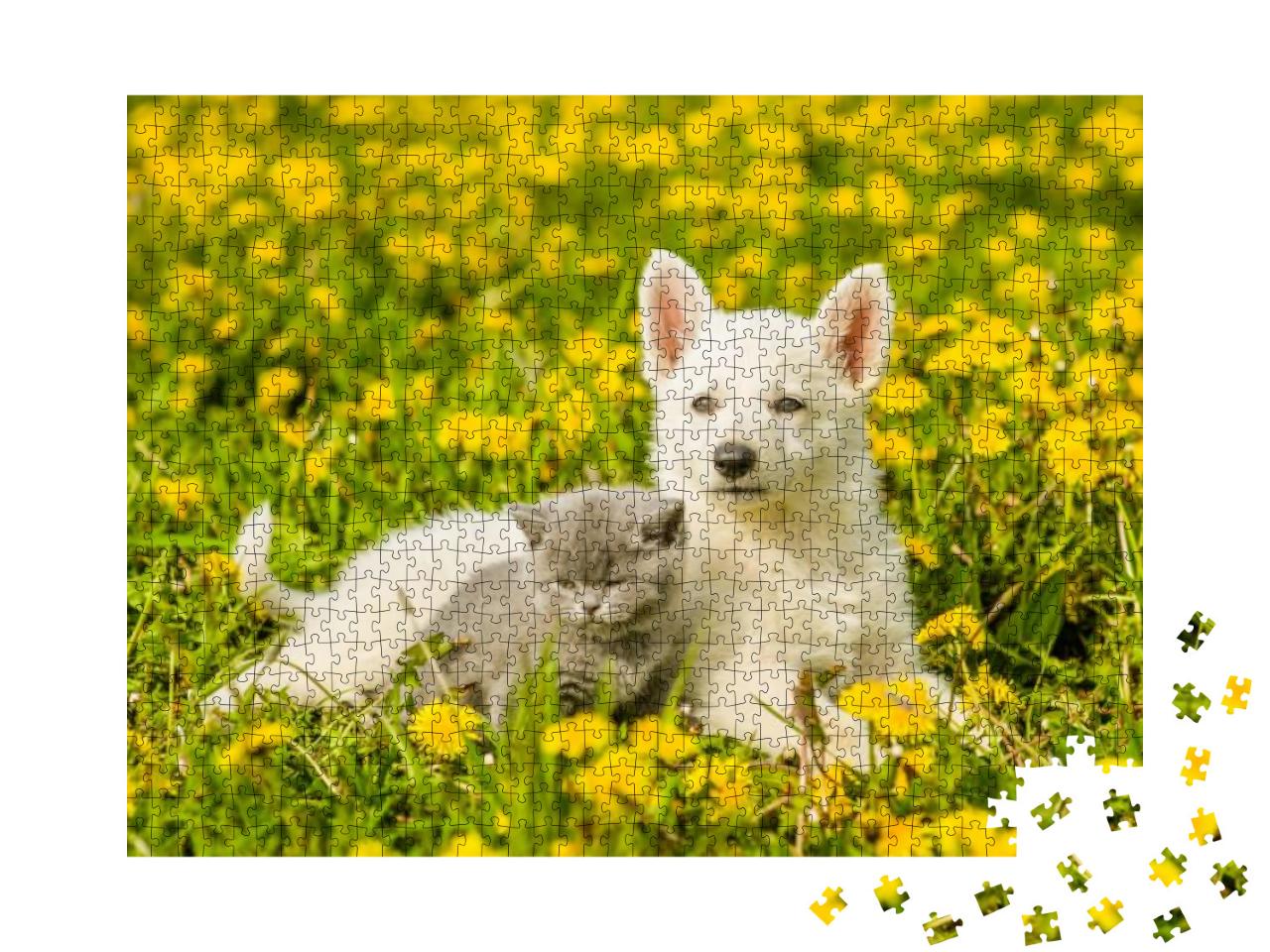 Puppy & Kitten Lying Together on a Dandelion Field... Jigsaw Puzzle with 1000 pieces