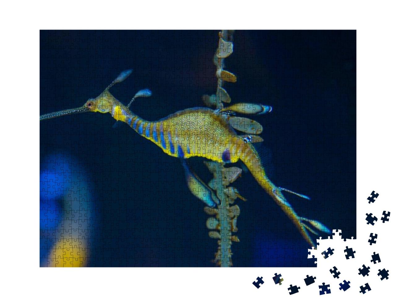 Seahorse in Colorful Salt Water Marine Aquarium... Jigsaw Puzzle with 1000 pieces