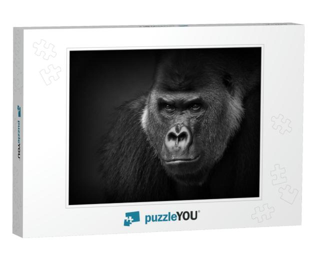 Gorilla Portrait in Black & White. Closeup of a Dangerous... Jigsaw Puzzle