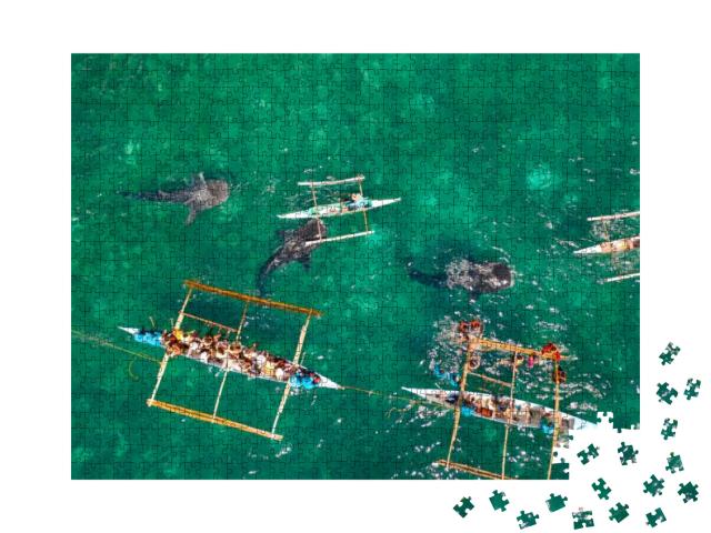 Tourists Are Watching Whale Sharks in the Town of Oslob... Jigsaw Puzzle with 1000 pieces
