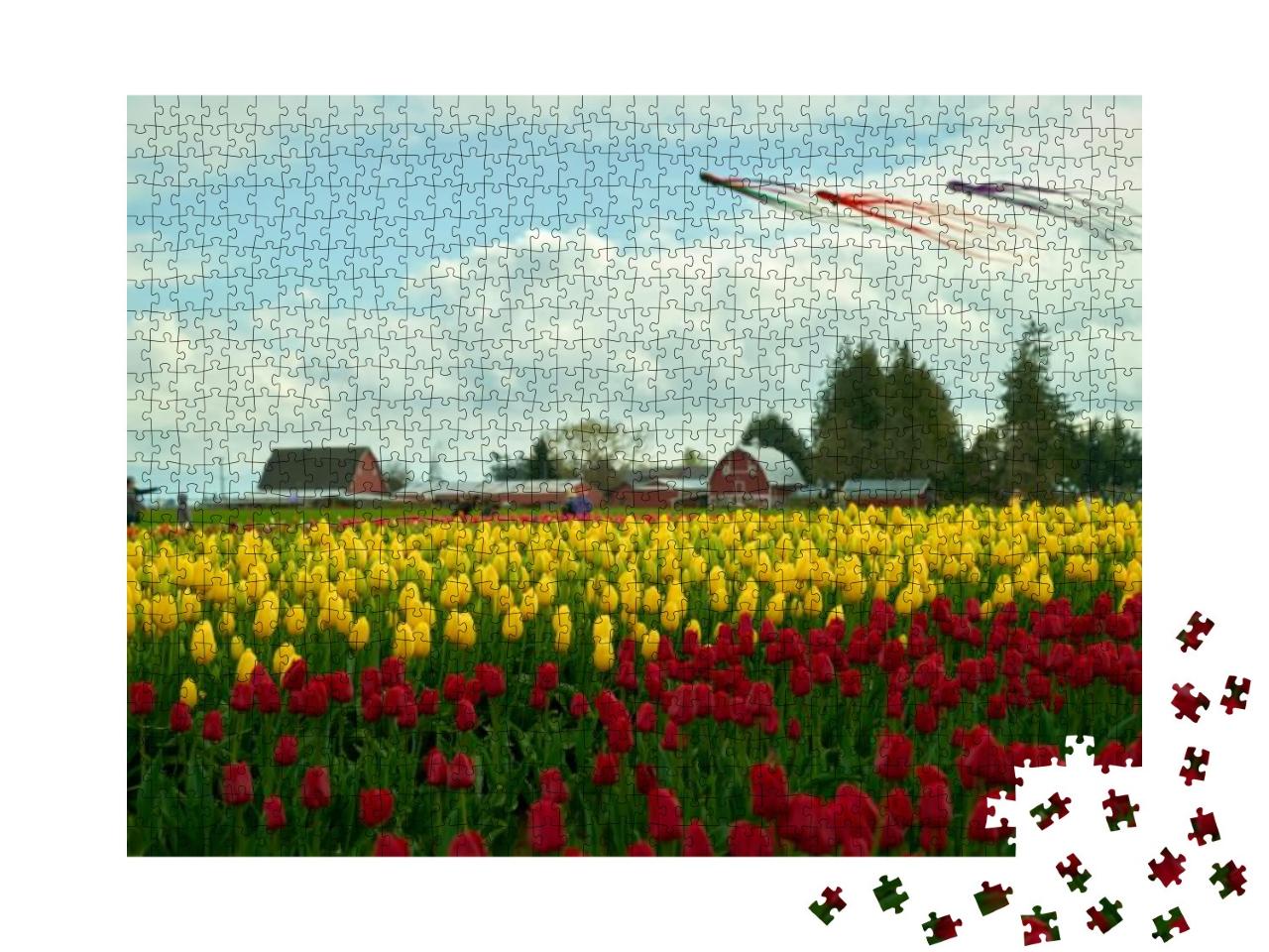 Skagit Valley Kites & Tulip Field Washington State. a Fie... Jigsaw Puzzle with 1000 pieces