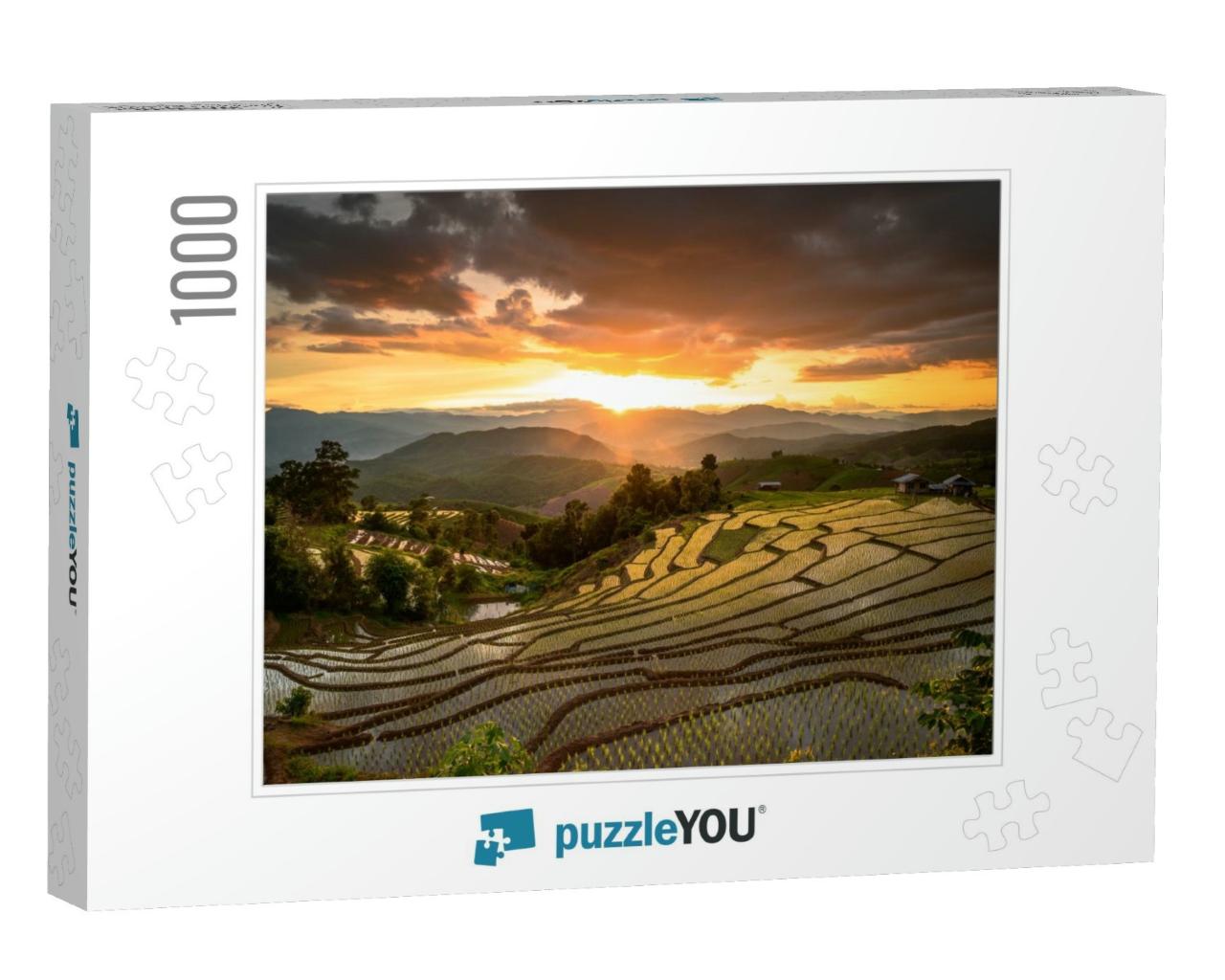 Sunset Rice Fields in Ban Pong Pian in Chiang Mai, Thaila... Jigsaw Puzzle with 1000 pieces