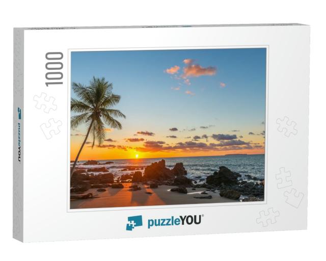 Silhouette of a Palm Tree & a Sand Beach Inside Corcovado... Jigsaw Puzzle with 1000 pieces