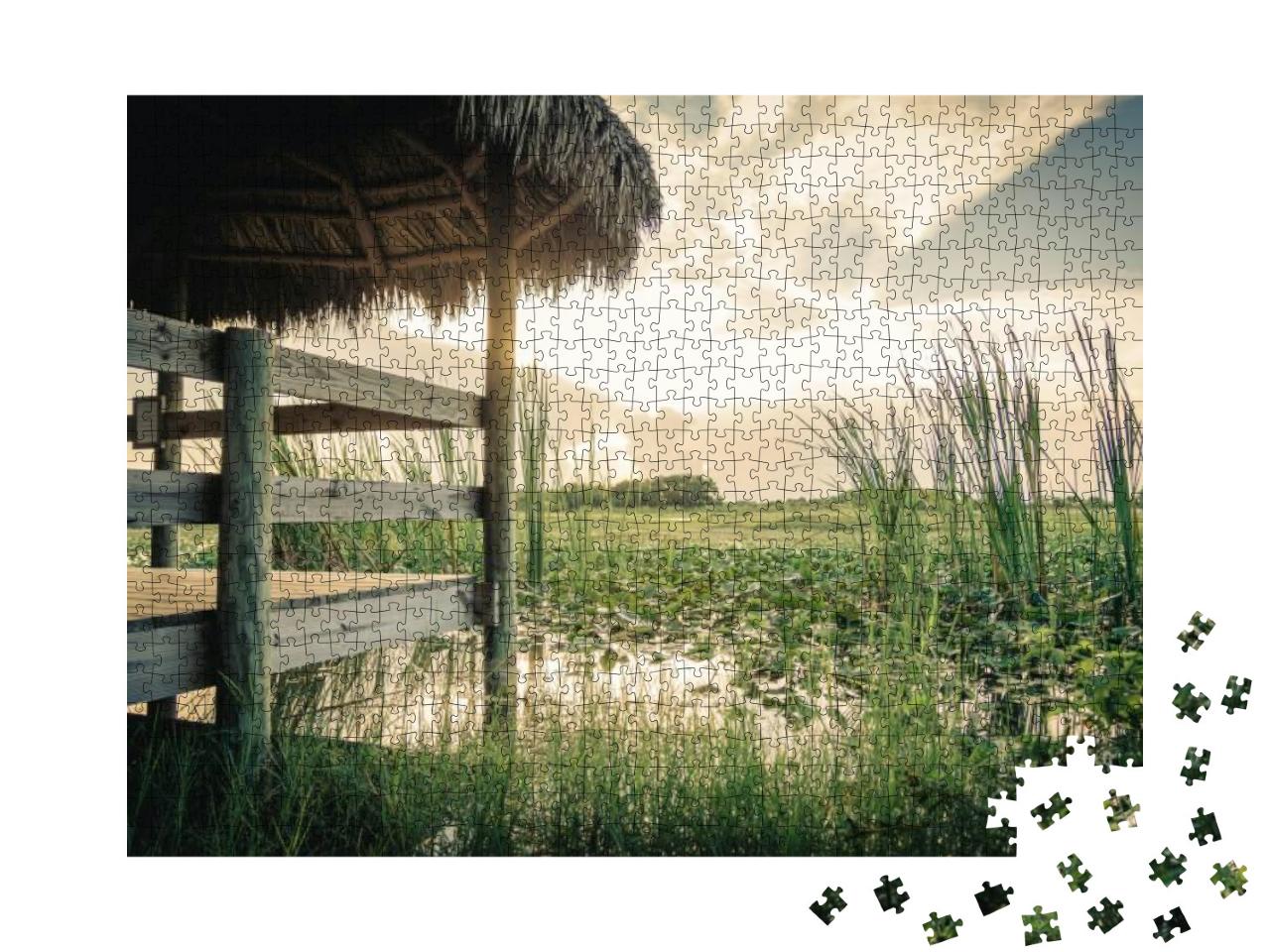 Landscape View in the Everglades National Park, Louisiana... Jigsaw Puzzle with 1000 pieces