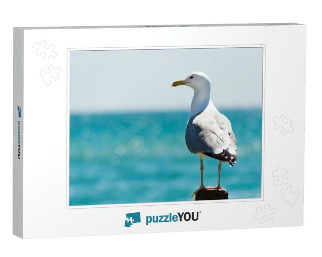 Seagull Portrait Against Sea Shore. Close Up View of Whit... Jigsaw Puzzle