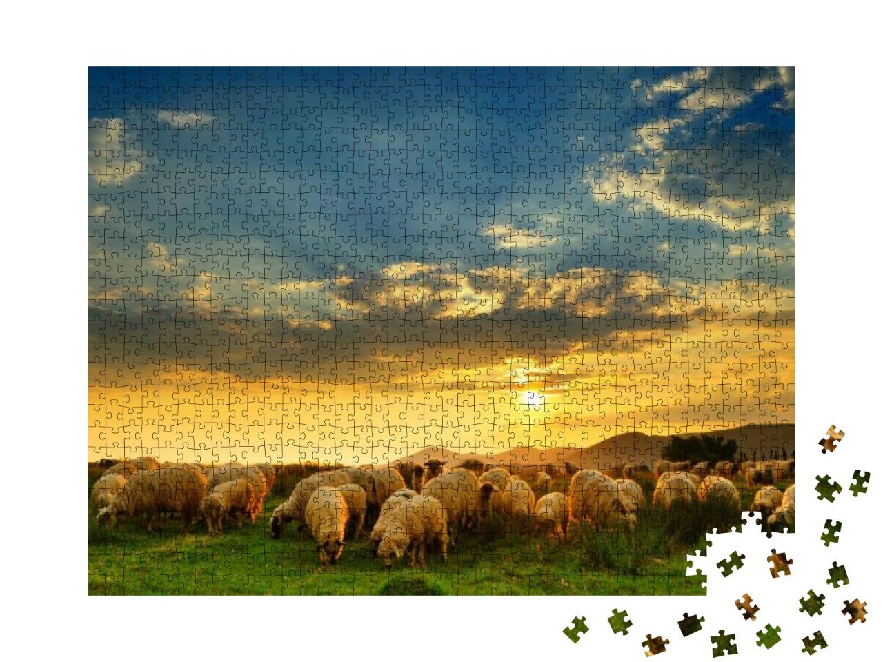 Flock of Sheep Grazing in a Hill At Sunset... Jigsaw Puzzle with 1000 pieces