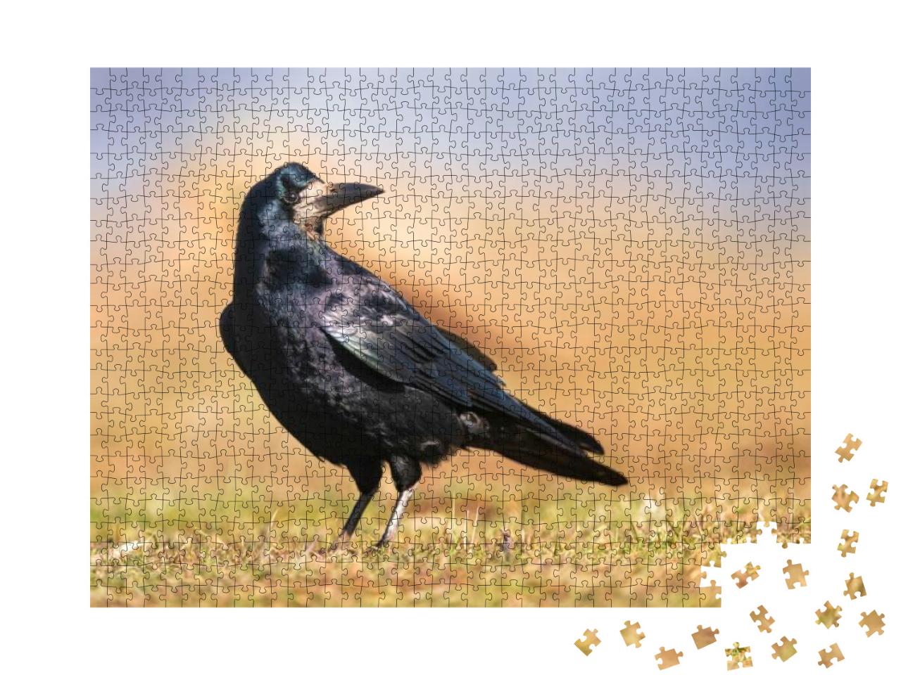 Portrait of Eurasian Rook Corvus Frugilegus. Rook on Eart... Jigsaw Puzzle with 1000 pieces