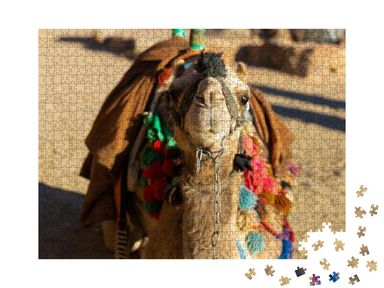 Dromedar Camel in the Background Sands of Hot Desert, Egy... Jigsaw Puzzle with 1000 pieces