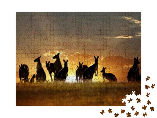 Australian Outback Kangaroo Series... Jigsaw Puzzle with 1000 pieces