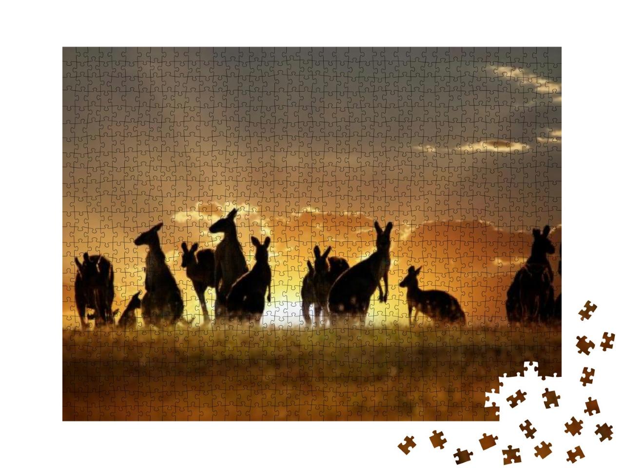 Australian Outback Kangaroo Series... Jigsaw Puzzle with 1000 pieces