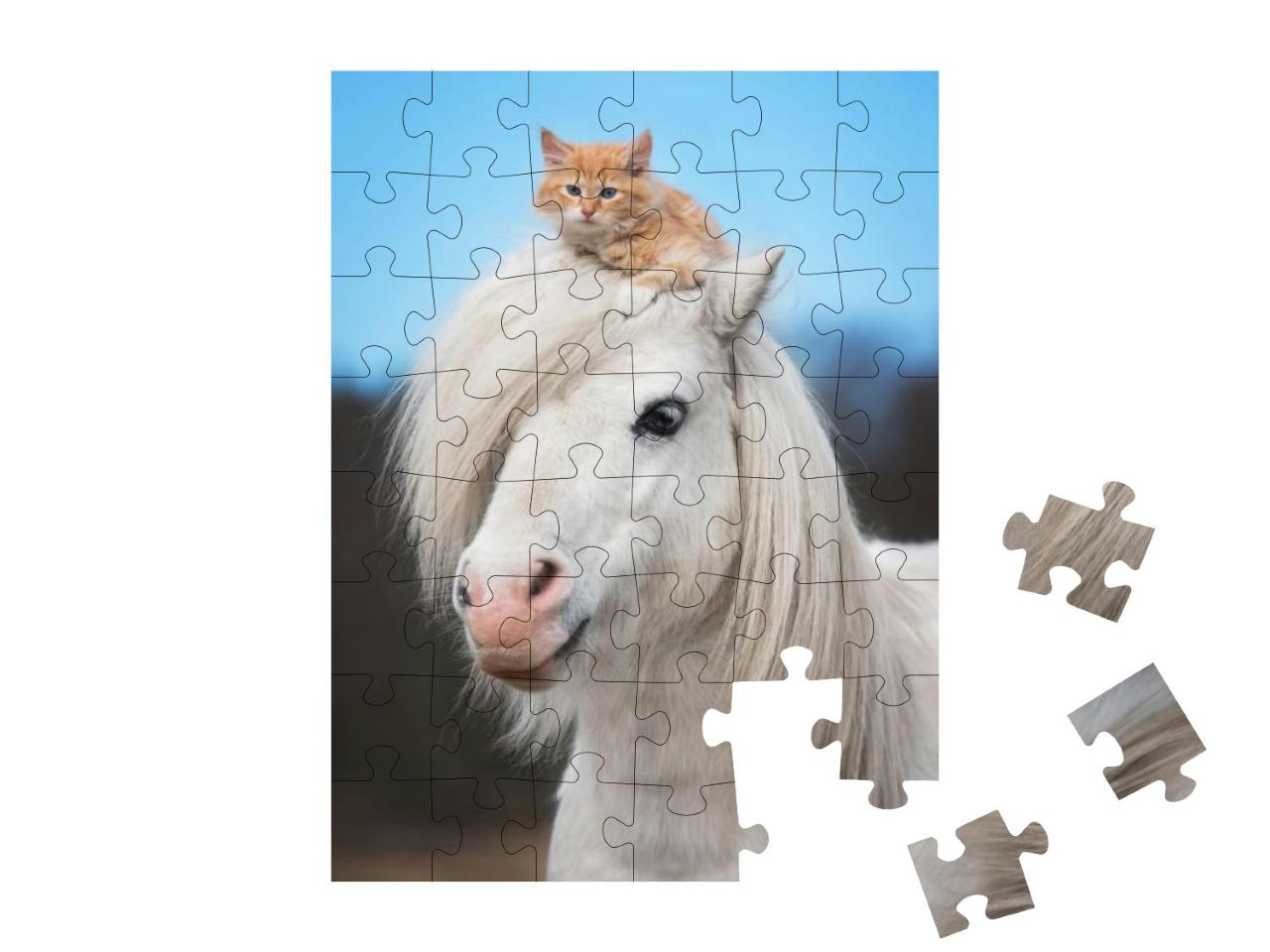 Little Red Kitten Sitting on the Head of White Shetland P... Jigsaw Puzzle with 48 pieces