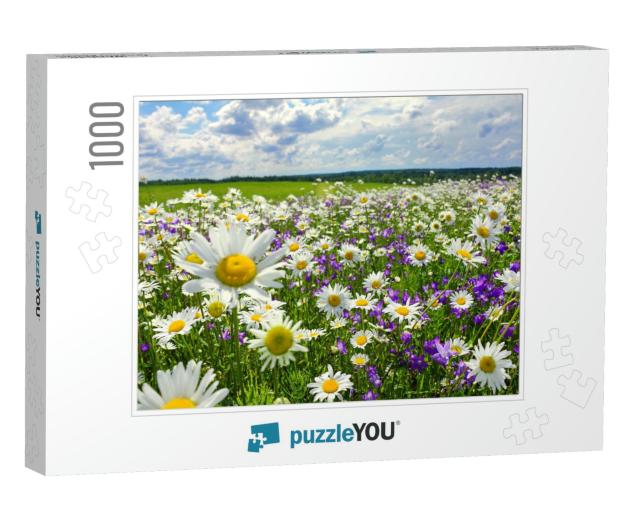 Beautiful Summer Landscape with Blossoming Meadow & Flowe... Jigsaw Puzzle with 1000 pieces