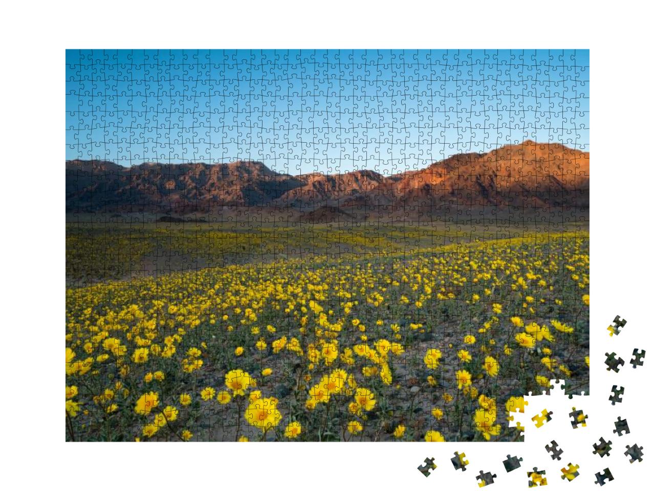Wildflower Super Bloom in Spring, Death Valley National P... Jigsaw Puzzle with 1000 pieces