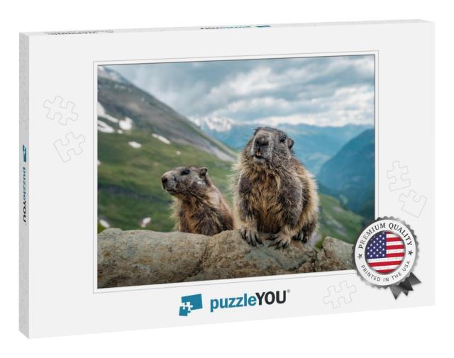 Two Marmots & a Beautiful View Near Grossglockner... Jigsaw Puzzle