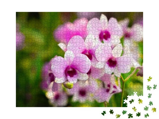 Orchid Flower in Orchid Garden At Winter or Spring Day. O... Jigsaw Puzzle with 1000 pieces