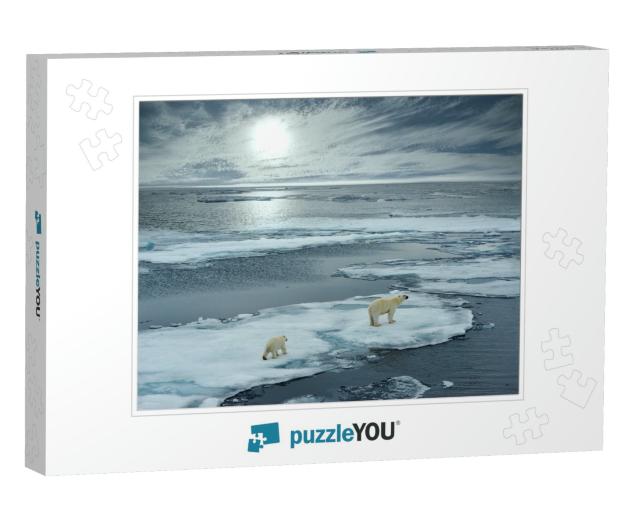Polar Bear Sow & Cub Walk on Ice Floe in Norwegian Arctic... Jigsaw Puzzle