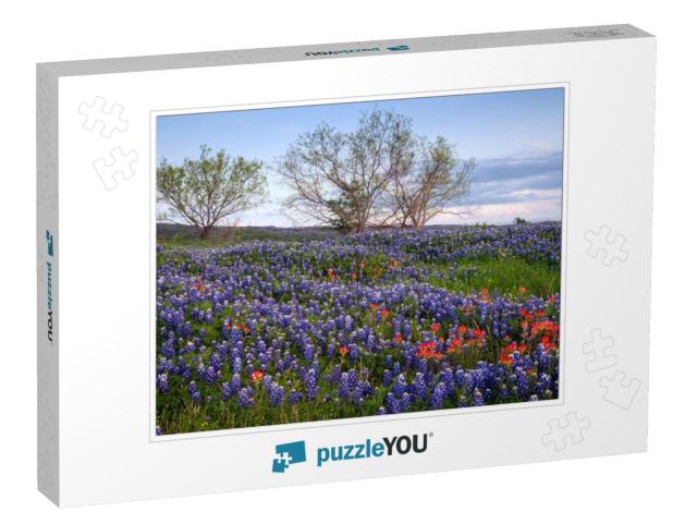 Bluebonnet Filled Meadow on the Ennis Bluebonnet Trail in... Jigsaw Puzzle