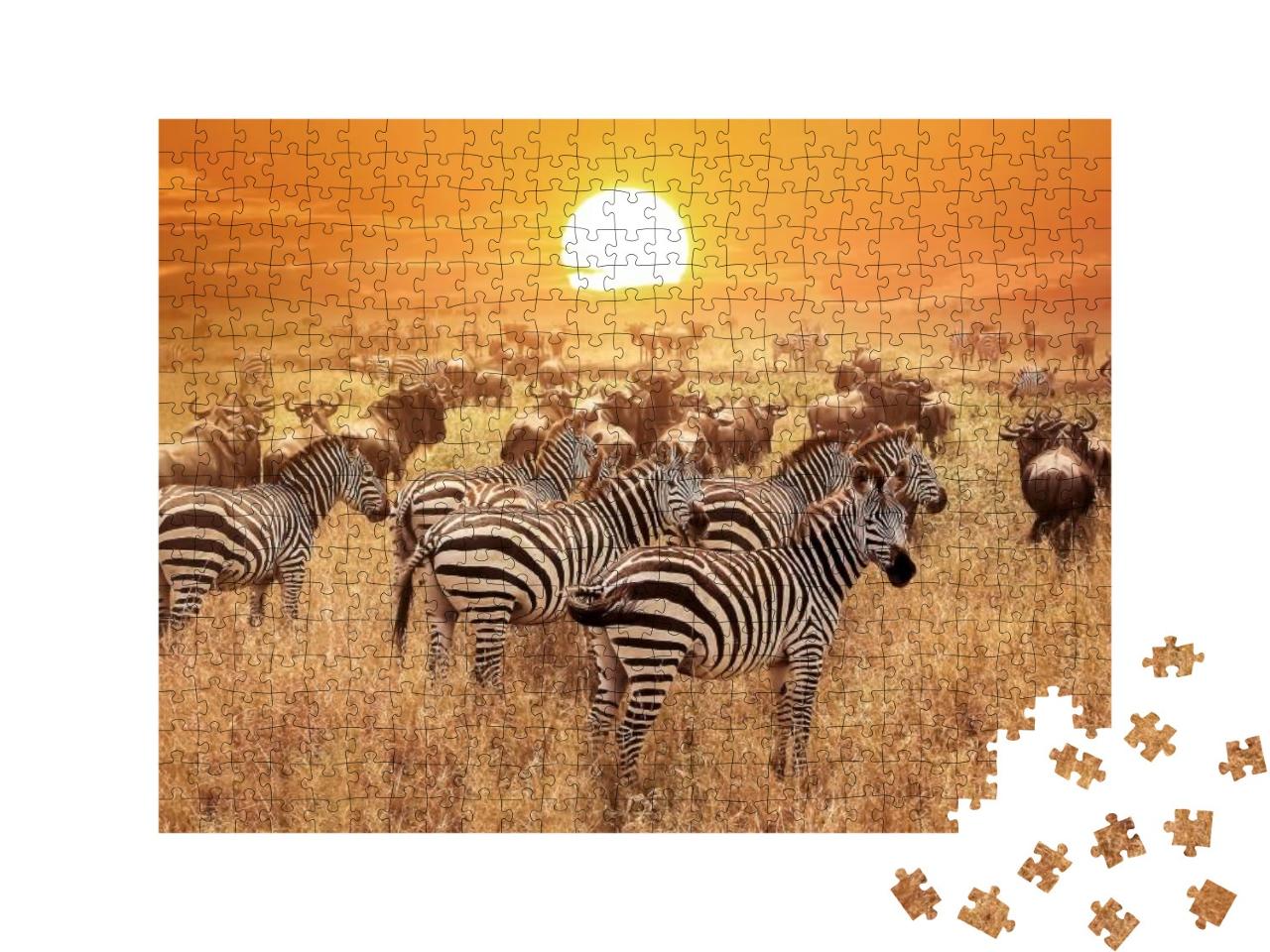 Zebra At Sunset in the Serengeti National Park. Africa. T... Jigsaw Puzzle with 500 pieces