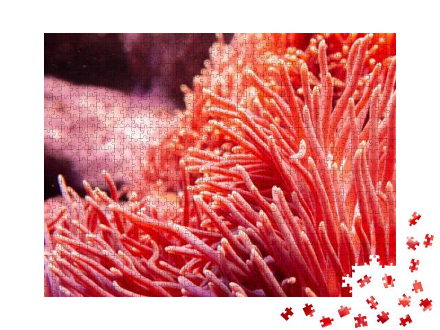 Flower Sea Living Coral & Reef Color Under Deep Dark Wate... Jigsaw Puzzle with 1000 pieces