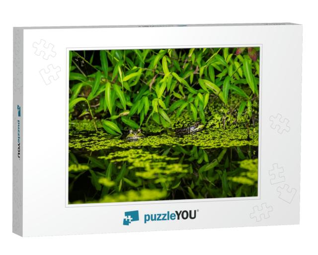 Two Frog Friends Jigsaw Puzzle