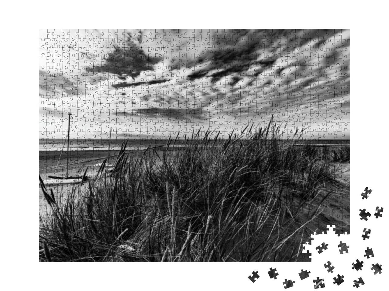 A Grayscale Shot of Sandy Path with Surrounding Greenery... Jigsaw Puzzle with 1000 pieces