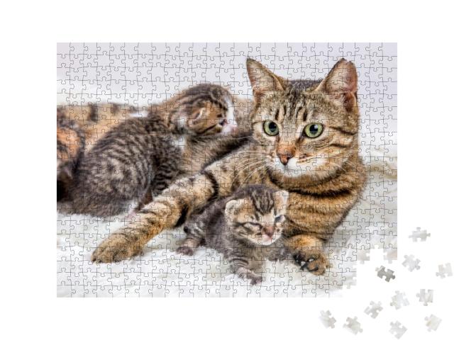 Mom Mother Cat & Baby Cat Kitten... Jigsaw Puzzle with 500 pieces