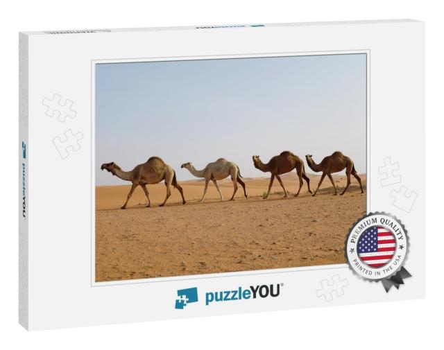Line of Dromedary Camels Crossing the Arabian Desert in R... Jigsaw Puzzle