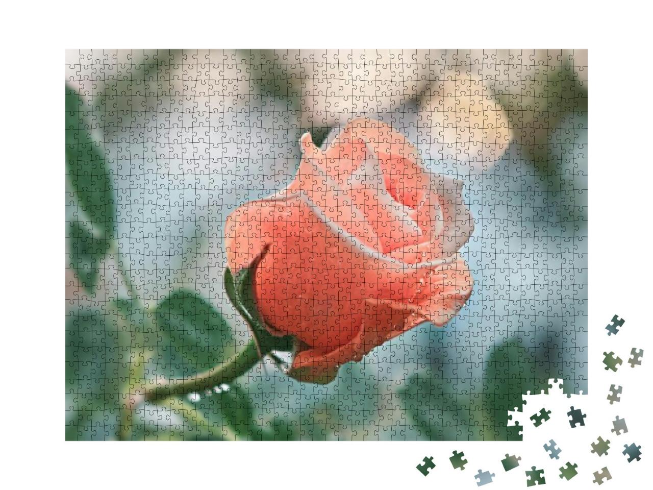 Rose Flower on Background Blurry Pink Roses Flower in the... Jigsaw Puzzle with 1000 pieces