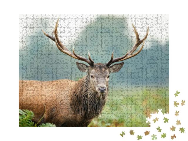 Portrait of a Red Deer Stag, Uk... Jigsaw Puzzle with 1000 pieces