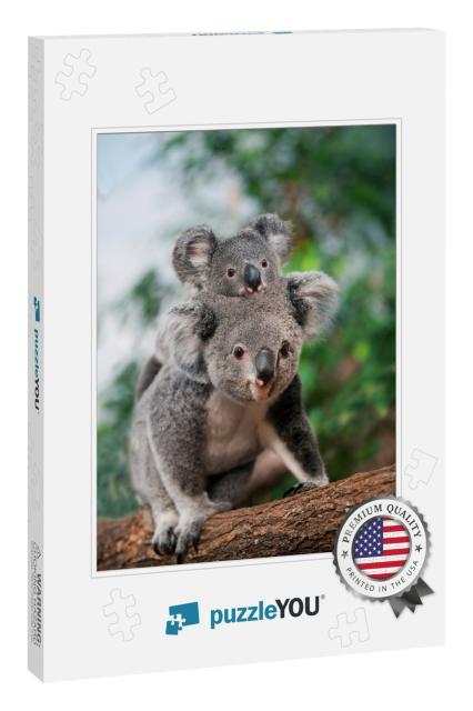 Koala, Phascolarctos Cinereus, Female Carrying Young on I... Jigsaw Puzzle