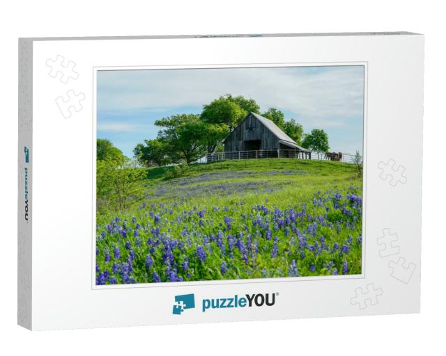 View of Old Barn with Bluebonnet Wildflowers Along Countr... Jigsaw Puzzle