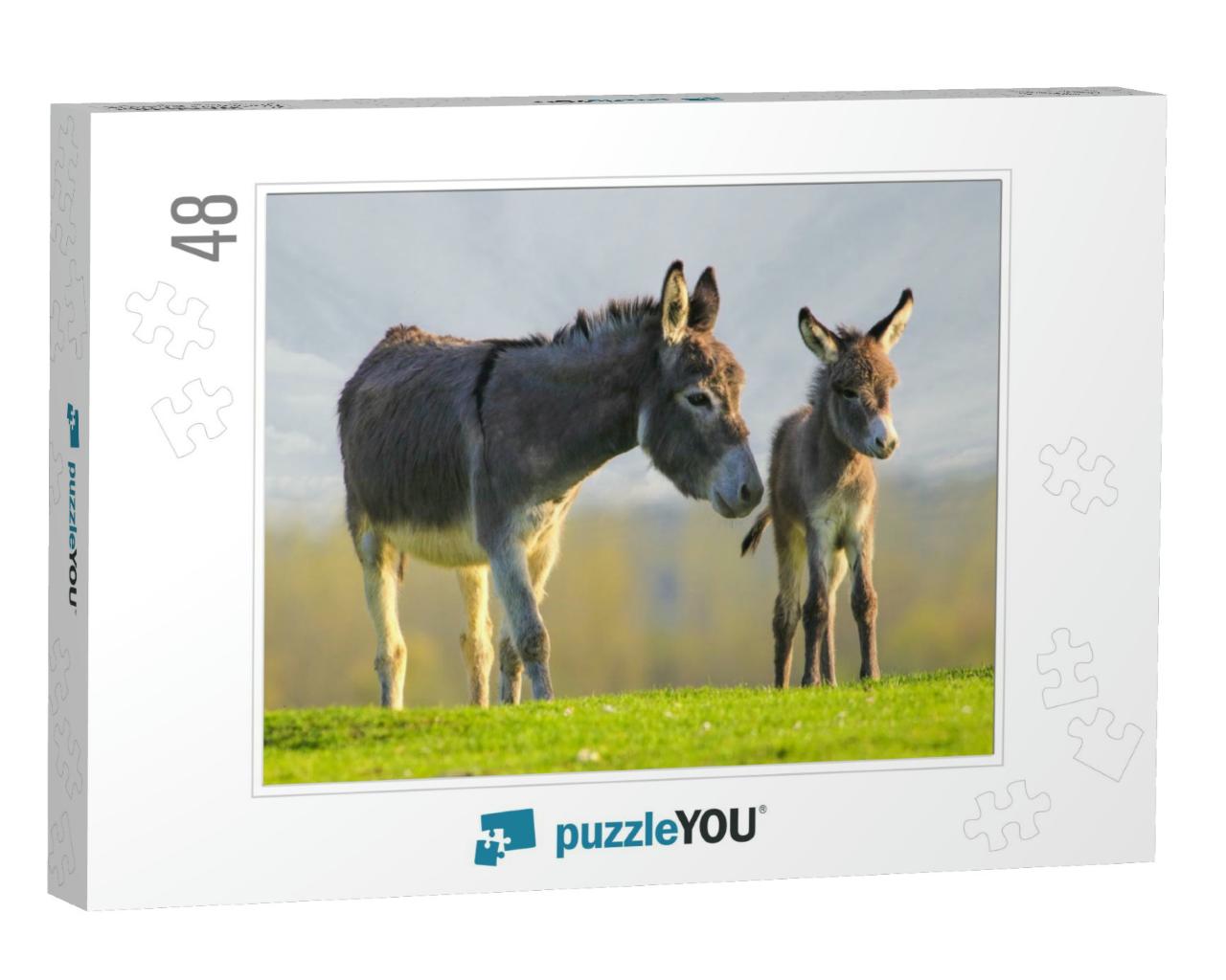 Grey Cute Baby Donkey & Mother on Floral Meadow... Jigsaw Puzzle with 48 pieces