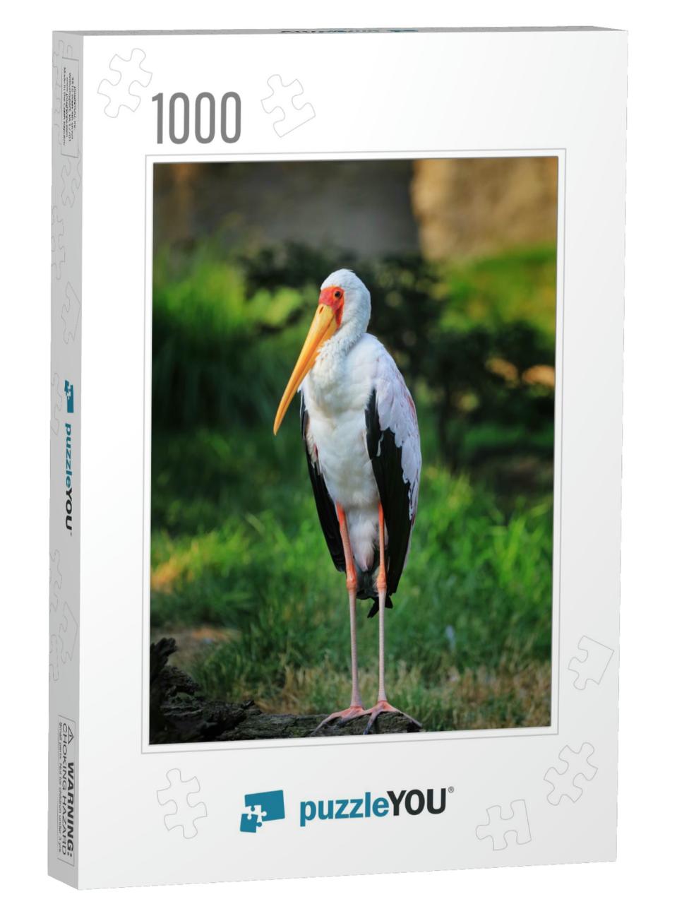 Yellow-Billed Stork, Mycteria Ibis, Standing on Old Tree... Jigsaw Puzzle with 1000 pieces