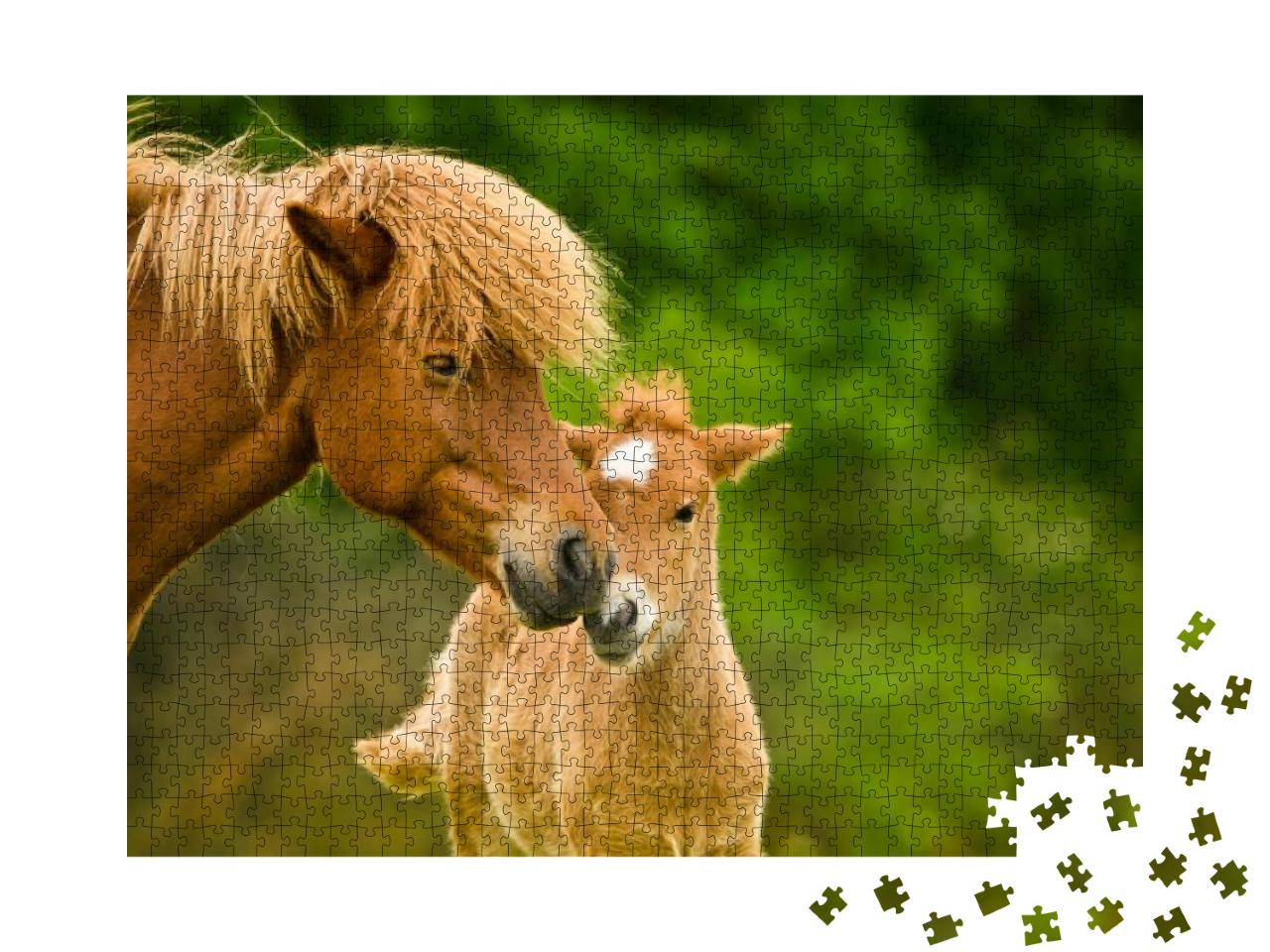 A Very Beautiful Chestnut Foal of an Icelandic Horse is S... Jigsaw Puzzle with 1000 pieces