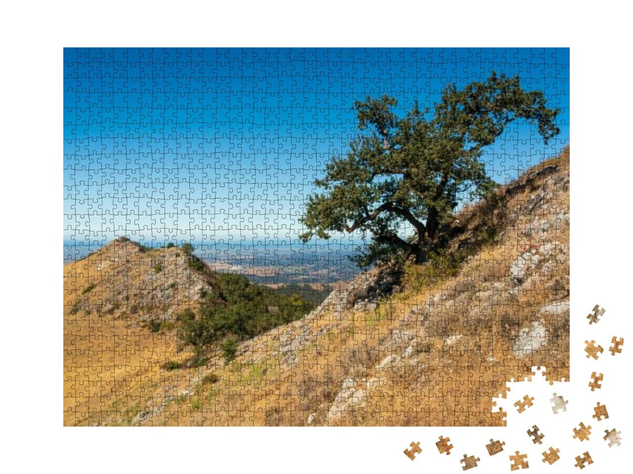 Fremont Peak State Park in California... Jigsaw Puzzle with 1000 pieces