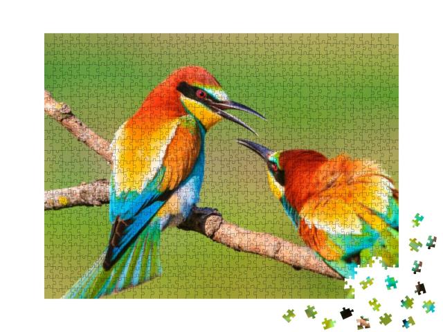 Spring Colored Birds Flirting, Natural Design, Unique Mom... Jigsaw Puzzle with 1000 pieces