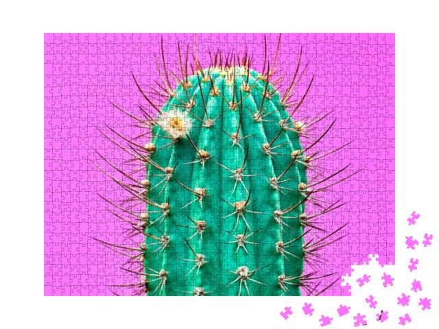 Fashion Cactus Green Colored on Pink Background. Minimali... Jigsaw Puzzle with 1000 pieces