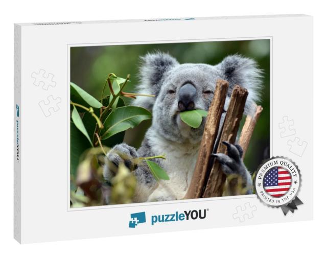 Koala At Lone Pine Koala Sanctuary Brisbane... Jigsaw Puzzle