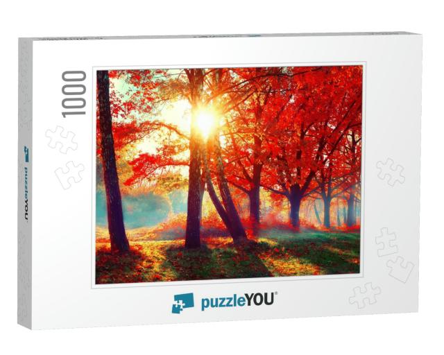 Autumn. Fall Scene. Beautiful Autumnal Park. Beauty Natur... Jigsaw Puzzle with 1000 pieces