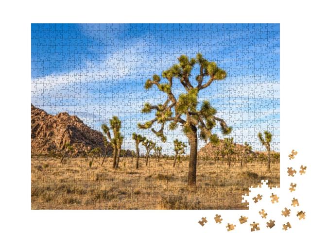Joshua Tree National Park, Mojave Desert, California... Jigsaw Puzzle with 1000 pieces