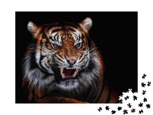 Sumatran Tiger Panthera Tigris Sumatrae Beautiful Animal... Jigsaw Puzzle with 1000 pieces