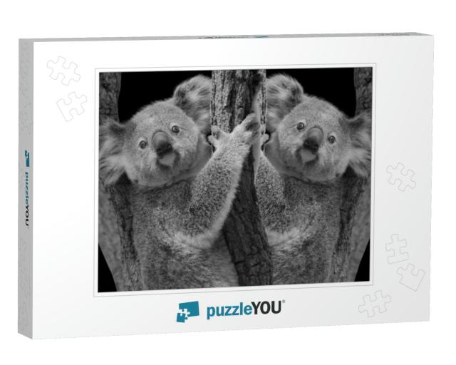 Two Cute Koala Bear Sitting on the Tree... Jigsaw Puzzle