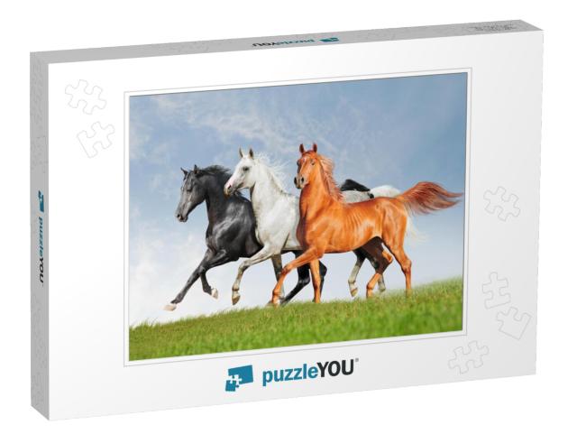 Three Arab Horse Runs Free... Jigsaw Puzzle